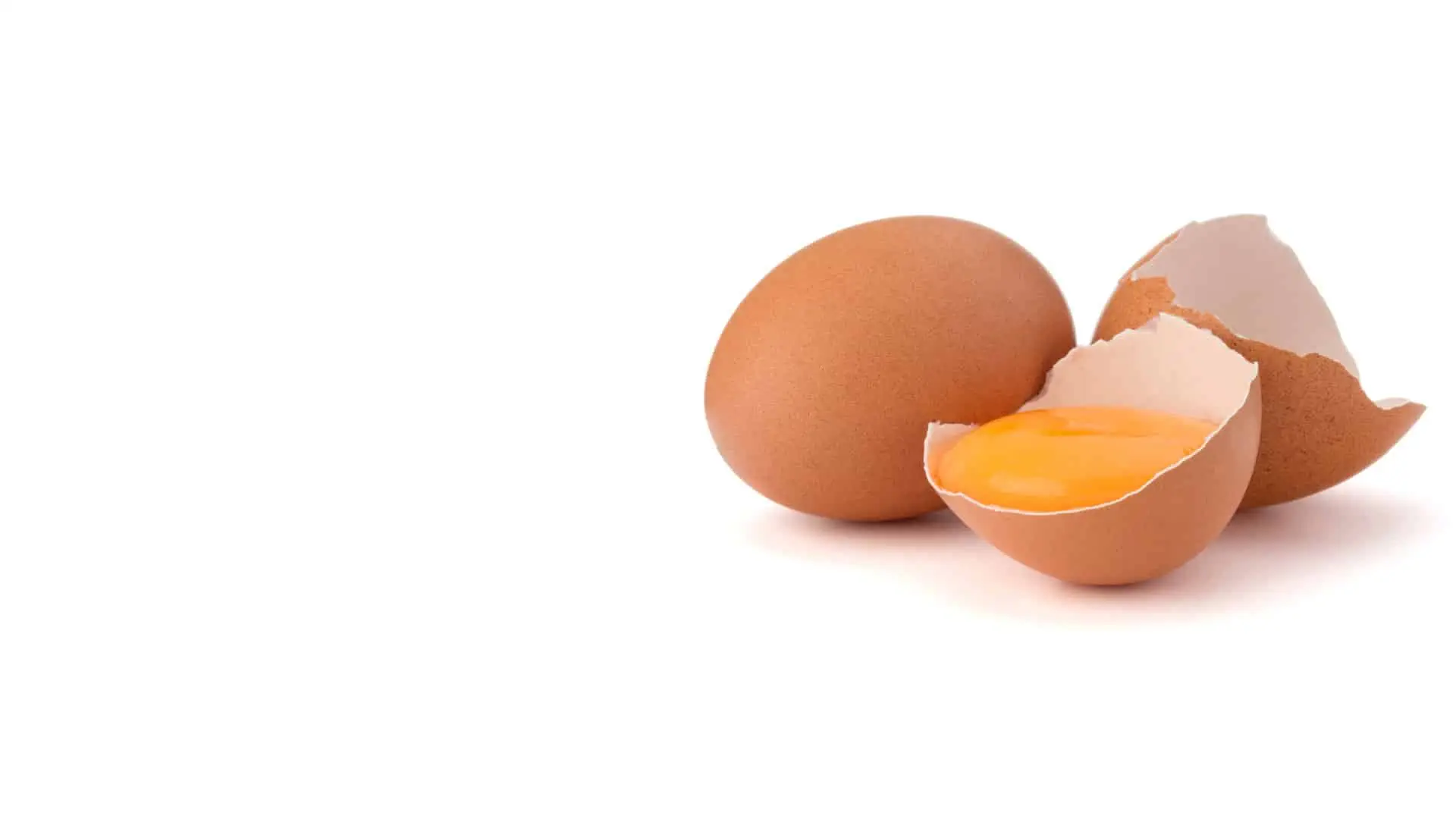 Web-Dienstleistungen 5 bigstock-Broken-egg-in-eggshell-half-an-157960931-kh